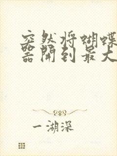 突然将蝴蝶遥控器开到最大