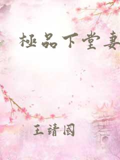 极品下堂妻