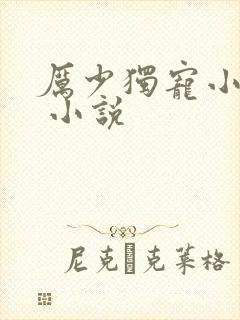 厉少独宠小娇妻 小说