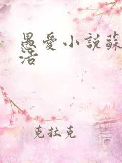 愚爱小说苏倩孙浩