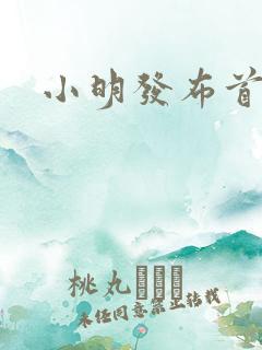 小明发布首页