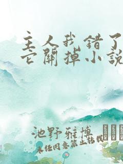 主人我错了请把它关掉小说