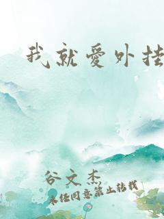 我就爱外挂