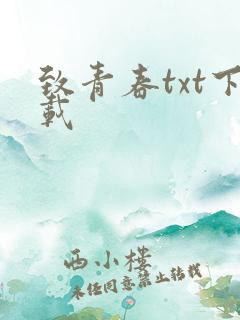 致青春txt下载