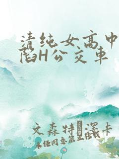 清纯女高中生沦陷H公交车