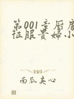 第001章厨房征服贵妇小说
