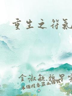 重生之符气冲天