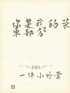 你是我的荣耀开车部分