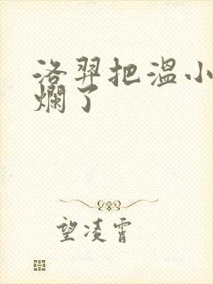 洛羿把温小辉做烂了