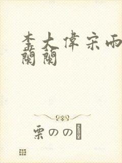 李大伟宋雨睛孙兰兰