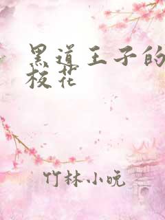 黑道王子的恶魔校花