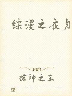 综漫之夜月
