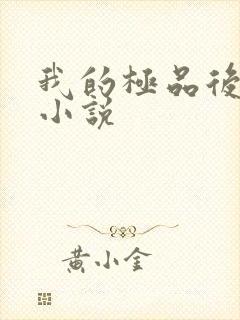 我的极品后宫 小说