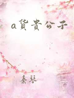 a货贵公子