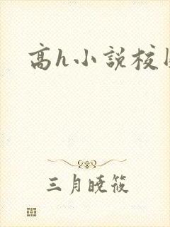高h小说校园