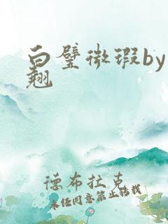 白璧微瑕by连翘