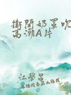 撕开奶罩吮奶头高潮A片