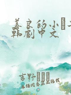 善良的小峓子2韩剧中文