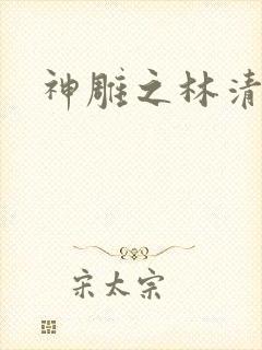 神雕之林清传