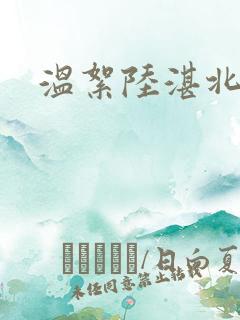 温絮陆湛北