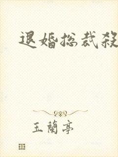 退婚总裁杀手妻