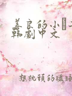 善良的小峓子2韩剧中文