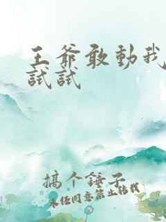 王爷敢动我妈咪试试