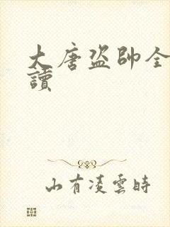 大唐盗帅全文阅读