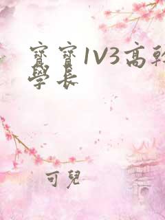 宝宝1V3高干学长