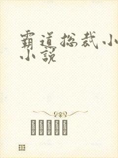 霸道总裁小娇妻小说