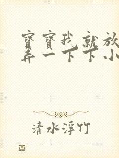 宝宝我就放进去弄一下下小说