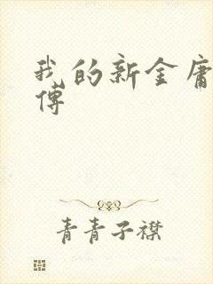 我的新金庸群侠传