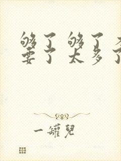 够了 够了 不要了 太多了