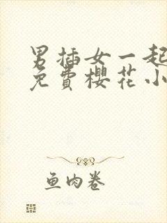 男插女一起爽的免费樱花小视频