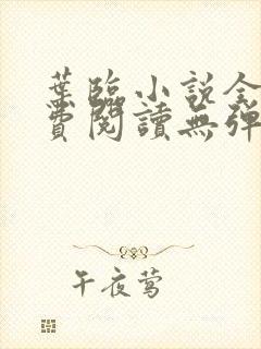 叶临小说全文免费阅读无弹窗