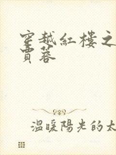 穿越红楼之我是贾蓉