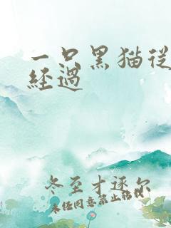 一只黑猫从眼前经过