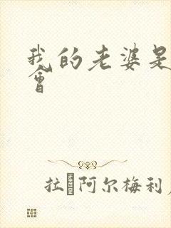 我的老婆是黑社会