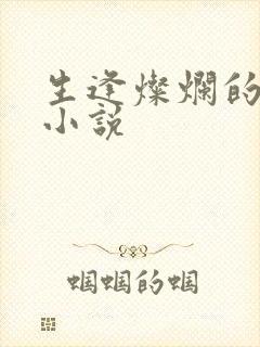 生逢灿烂的日子小说