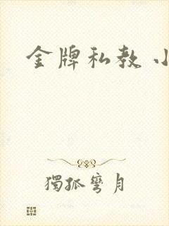金牌私教 小说
