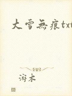 大雪无痕txt