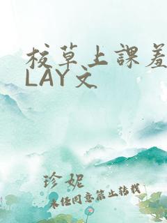 校草上课羞耻PLAY文