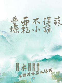 爱而不得苏路顾塬乾小说