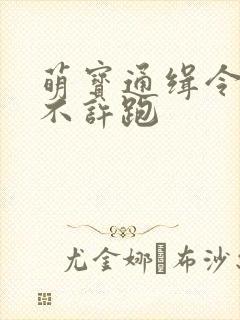 萌宝通缉令妈味不许跑