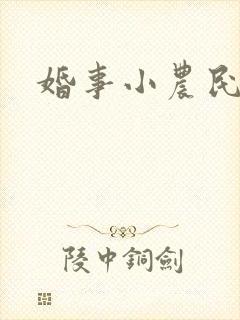 婚事小农民