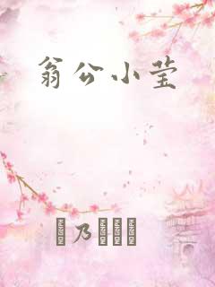 翁公小莹