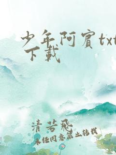 少年阿宾txt 下载