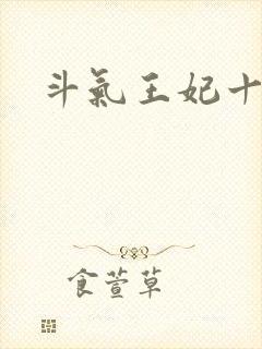 斗气王妃十五岁