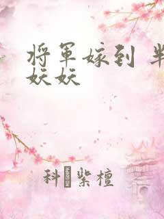将军嫁到 半袖妖妖