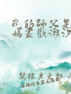 我的师父是王语嫣尽欢潮汐